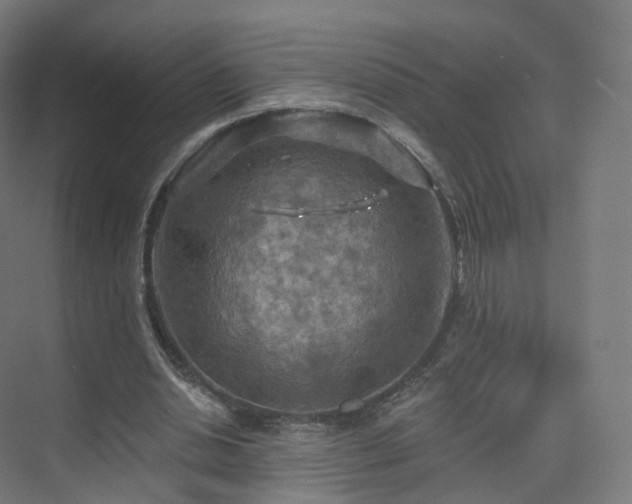 X0000075830438200609151242