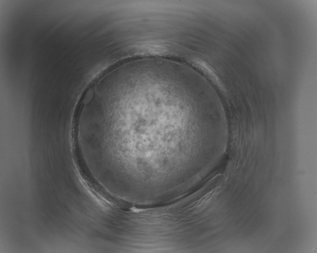 X0000075830439200609151242