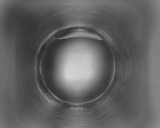 X0000075830440200609151242