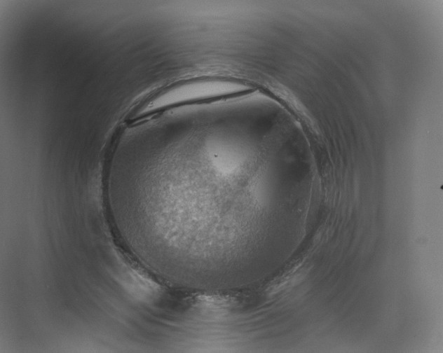 X0000075830442200609151242