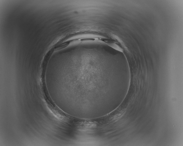 X0000075830443200609151242