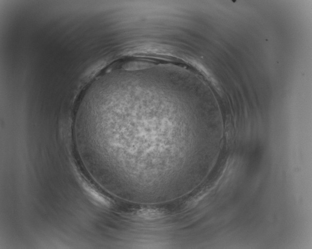 X0000075830445200609151243