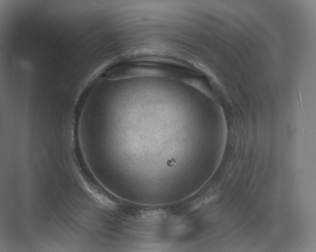 X0000075830446200609151243