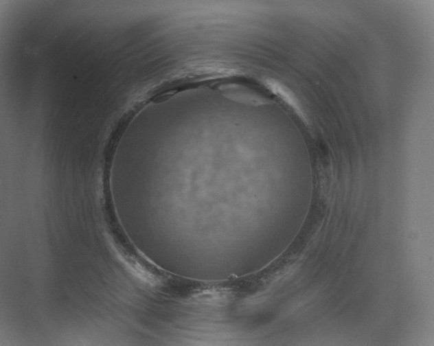 X0000075830447200609151243