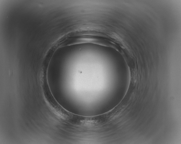 X0000075830448200609151243