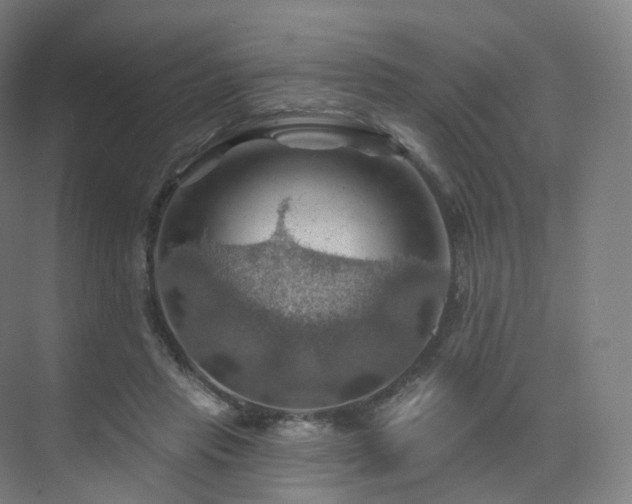 X0000075830453200609151243