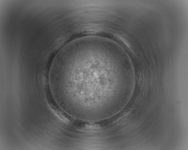 X0000075830455200609151243