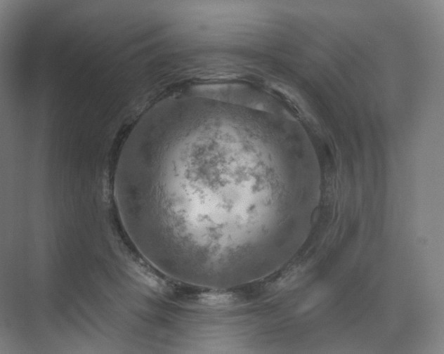 X0000075830457200609151243