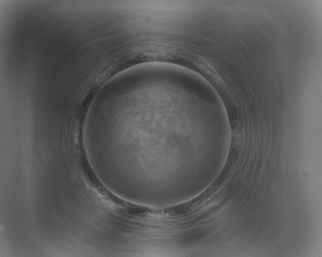 X0000075830458200609151243