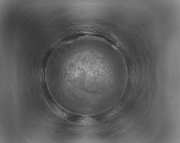 X0000075830459200609151243