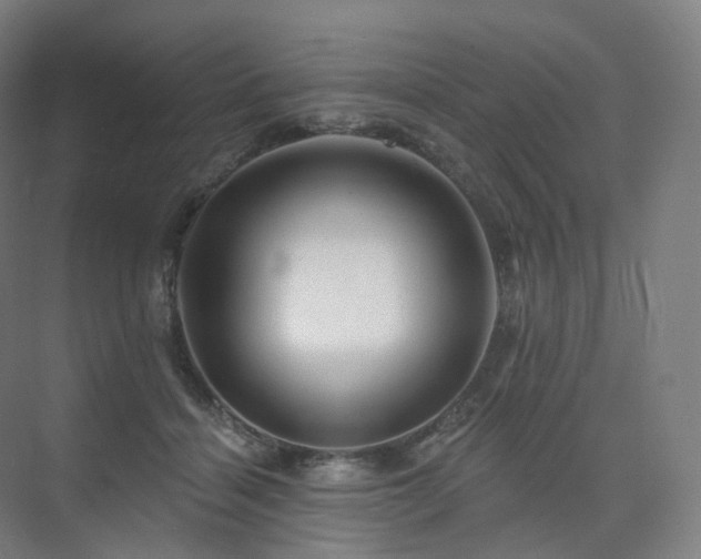 X0000075830460200609151243