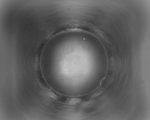 X0000075830463200609151243