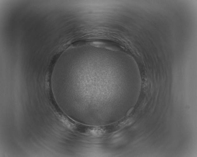 X0000075830466200609151243