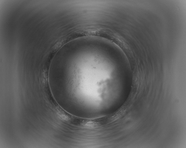 X0000075830467200609151243