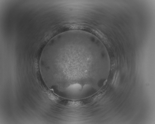 X0000075830469200609151243