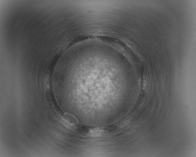 X0000075830470200609151243