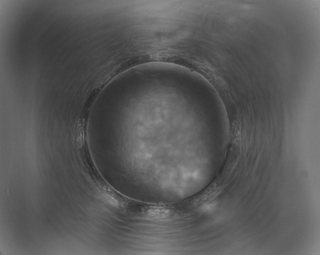 X0000075830471200609151243