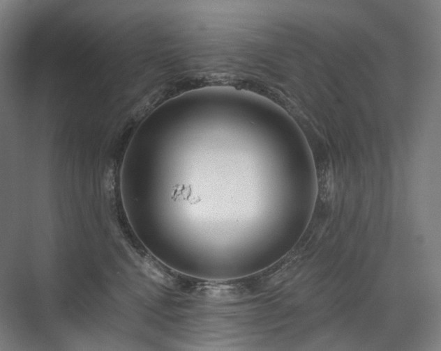 X0000075830472200609151243