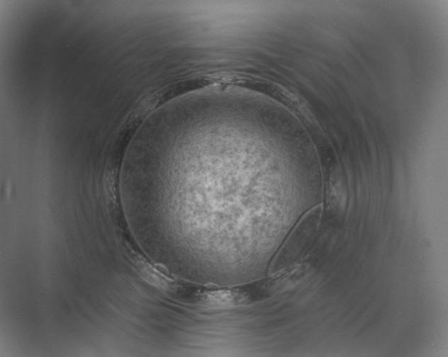 X0000075830473200609151243