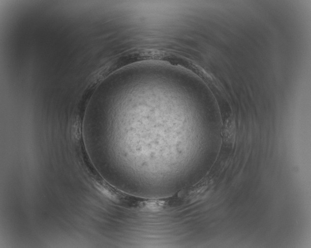 X0000075830474200609151243