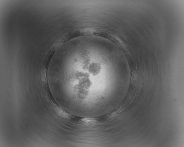 X0000075830477200609151243