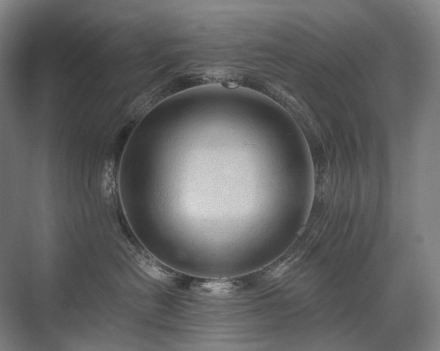 X0000075830478200609151243