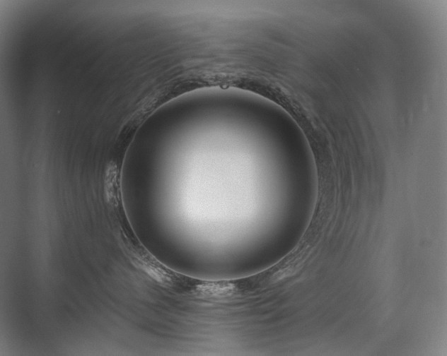 X0000075830480200609151243