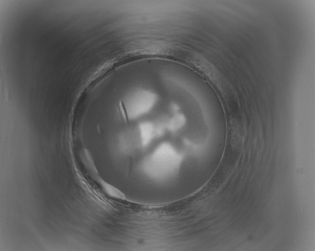 X0000075830482200609151242