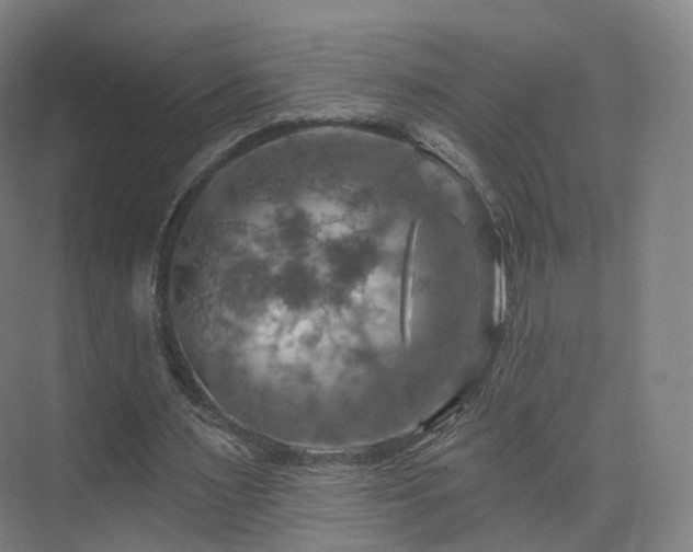 X0000075830483200609151242