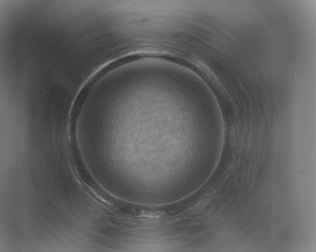 X0000075830484200609151242