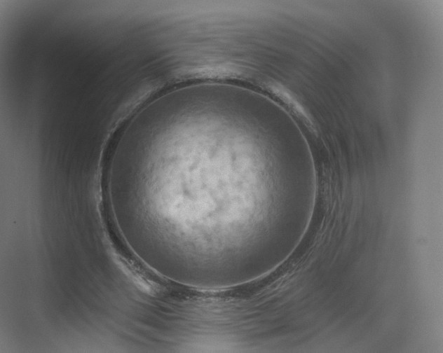 X0000075830486200609151242