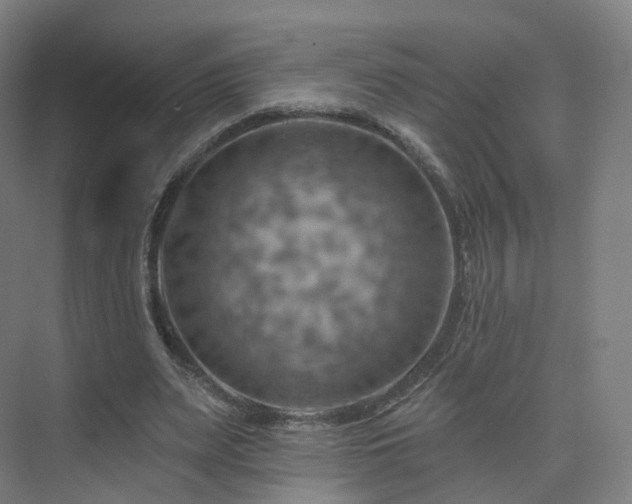 X0000075830487200609151242