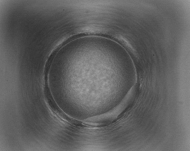 X0000075830488200609151242