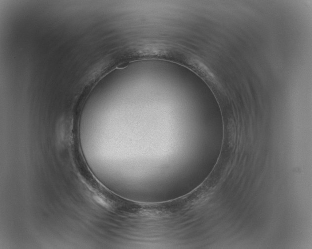 X0000075830490200609151242