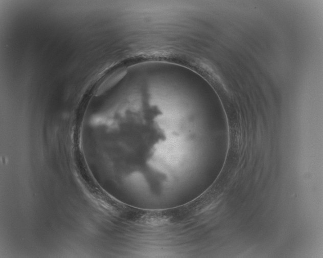 X0000075830491200609151242