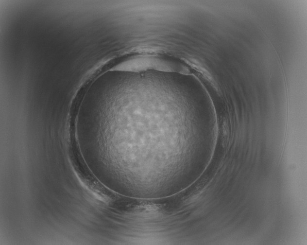 X0000075830492200609151242