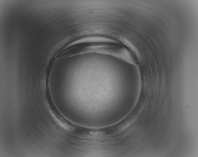 X0000075830493200609151242