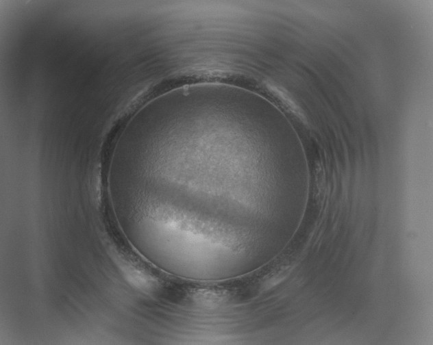 X0000075830494200609151242