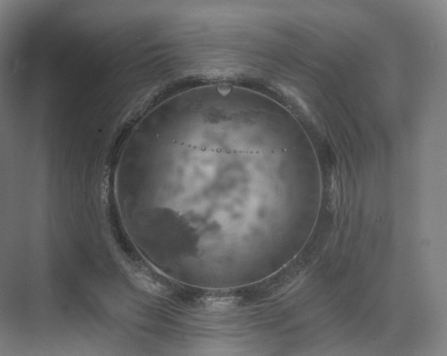 X0000075830495200609151242