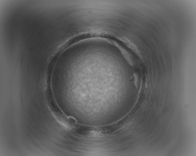 X0000075830496200609151242