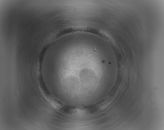 X0000075830498200609151242