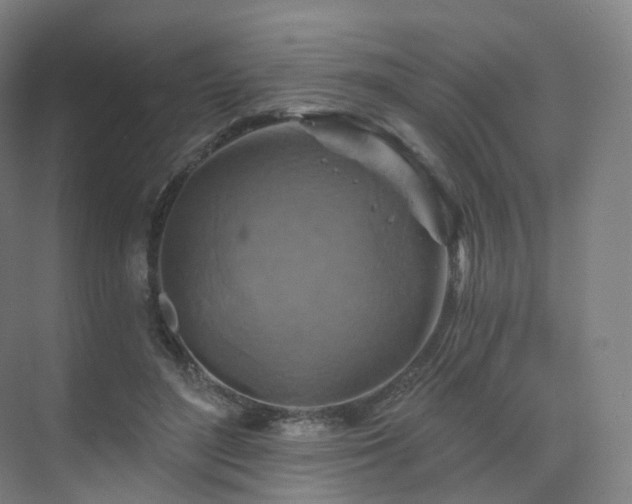 X0000075830500200609151242