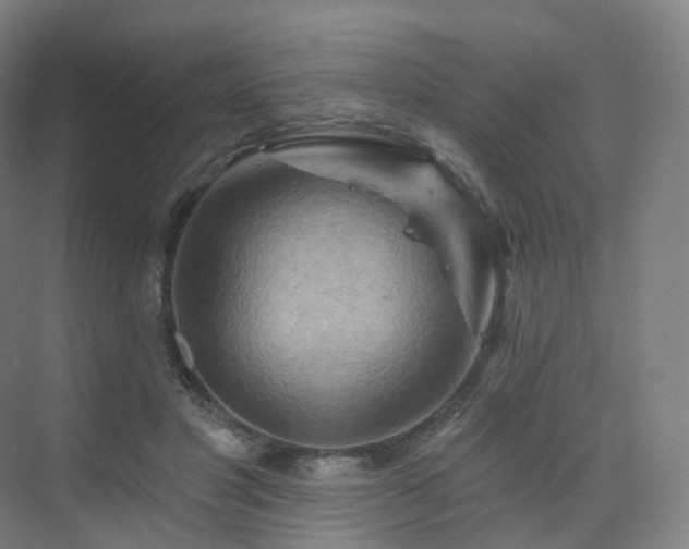 X0000075830501200609151242