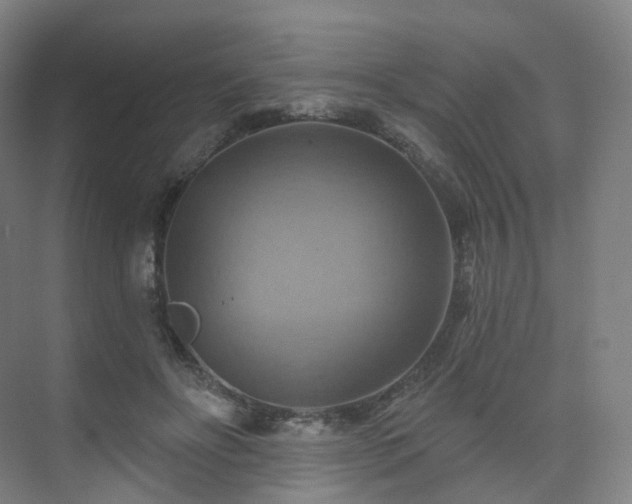 X0000075830502200609151242