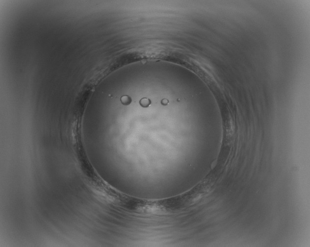 X0000075830503200609151242