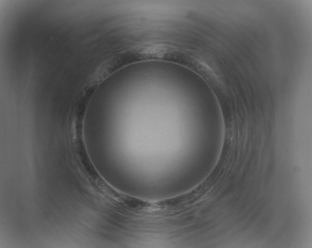 X0000075830504200609151242