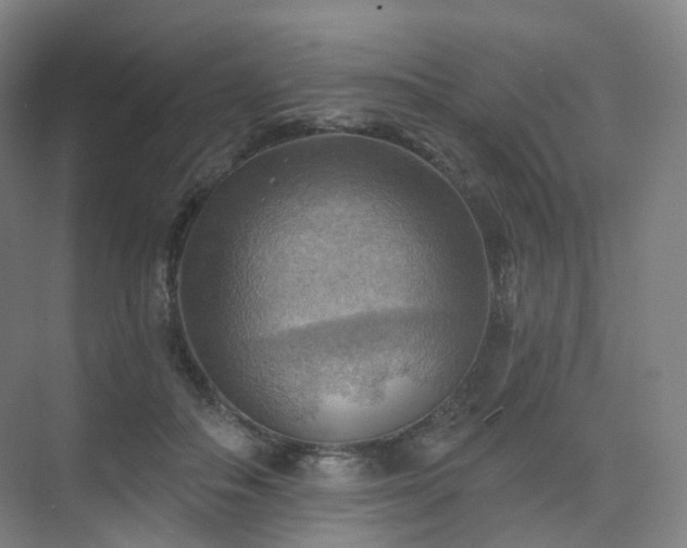 X0000075830506200609151242