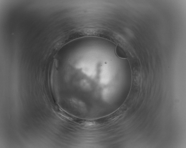 X0000075830507200609151242