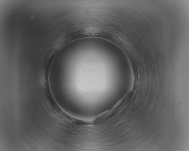 X0000075830508200609151242