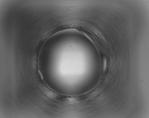 X0000075830509200609151242